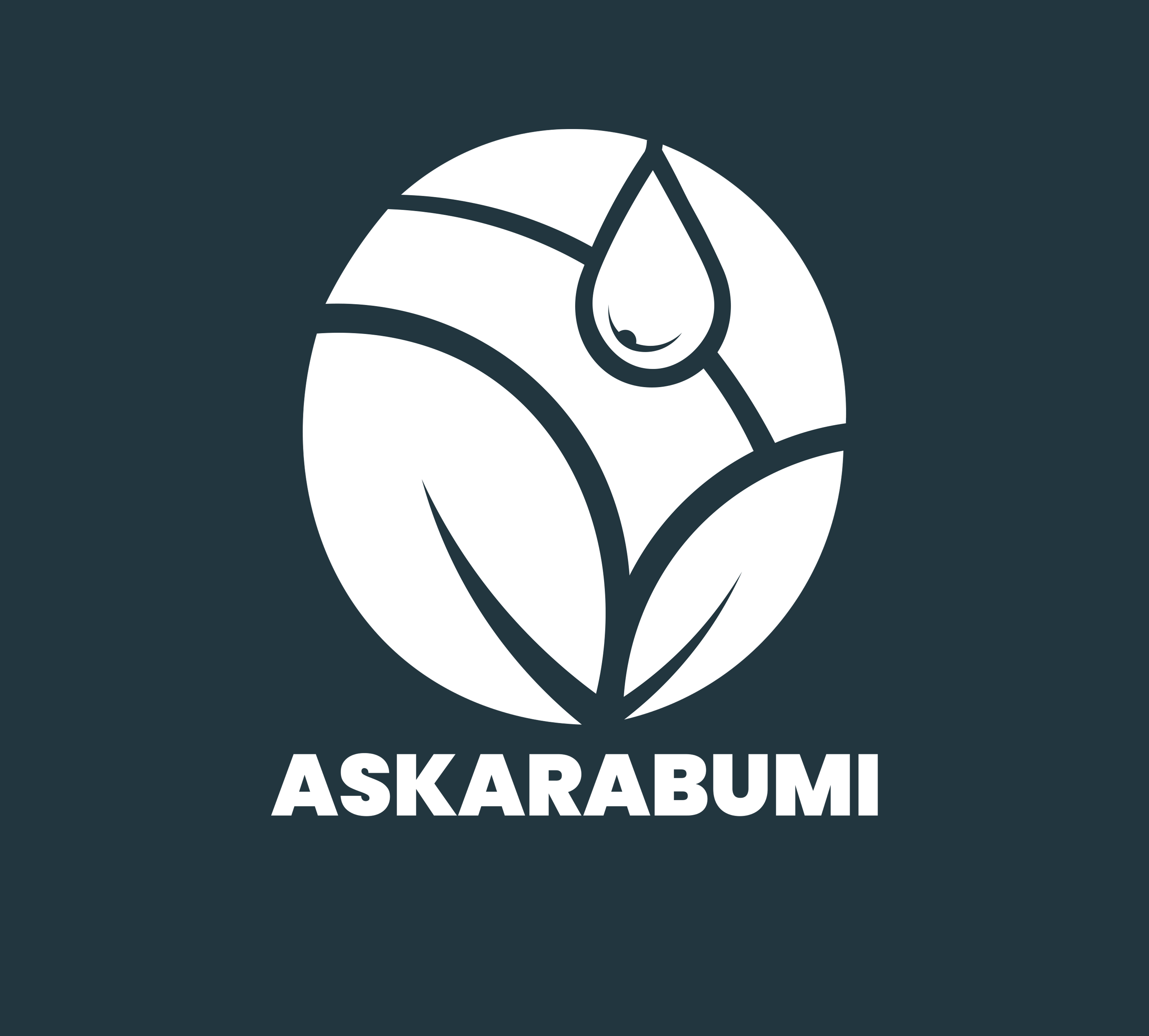 PT ADI ASKARA BUMI