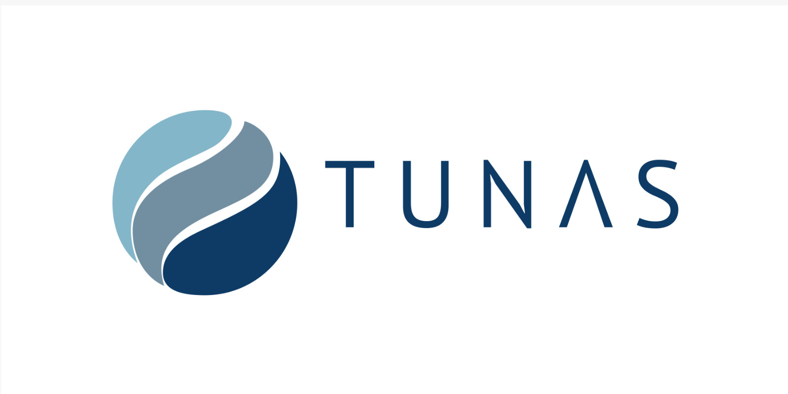 PT Tunas Esa Mandiri Sejahtera