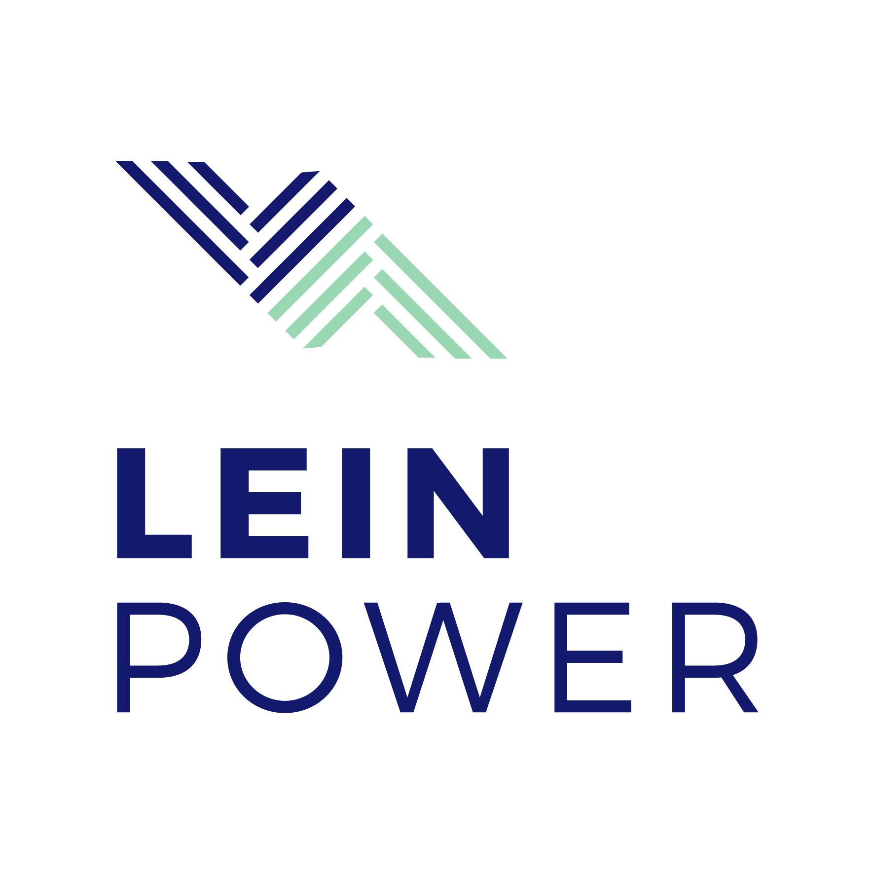 PT Lembaga Energi Indonesia
