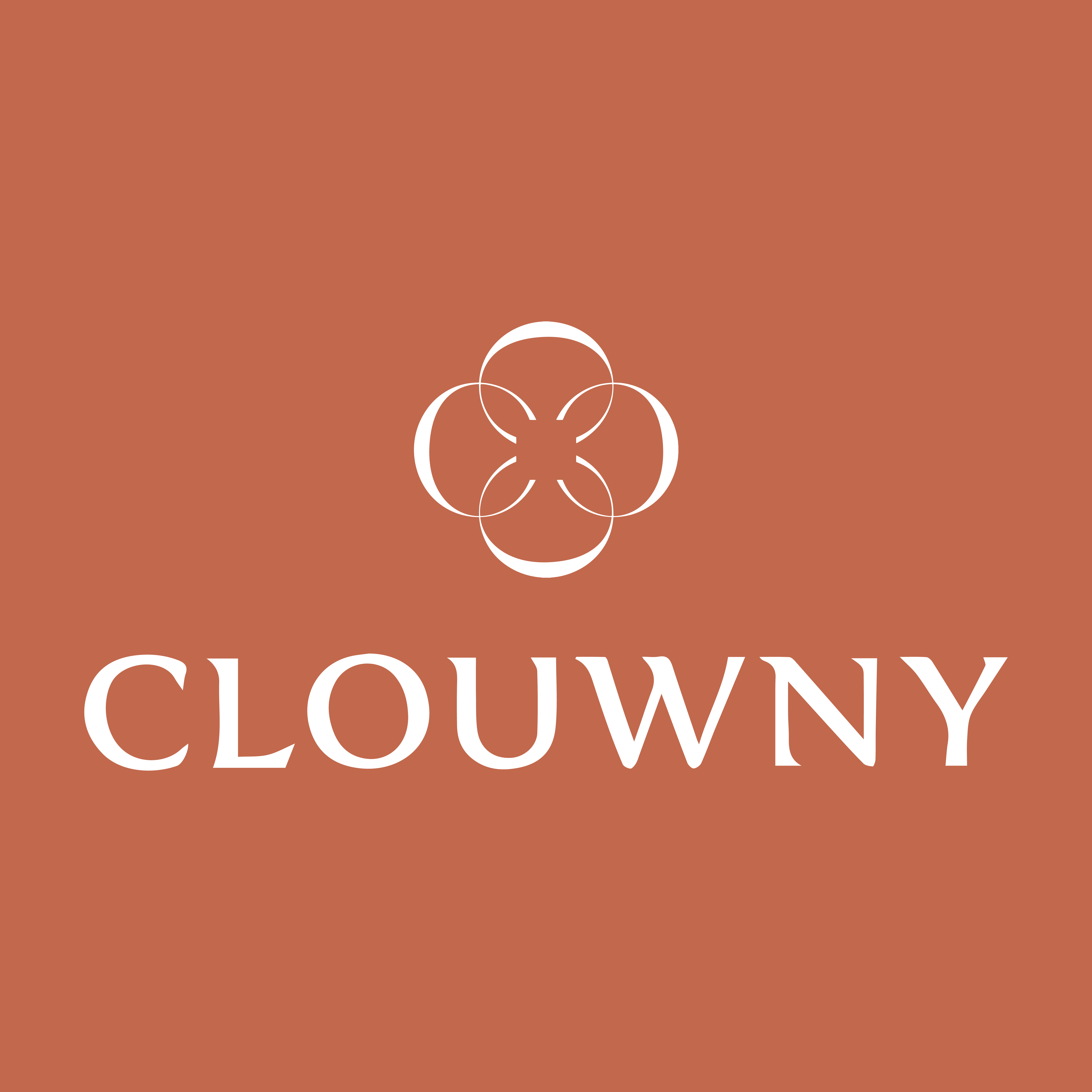 PT Clouwny Berkat Sentosa