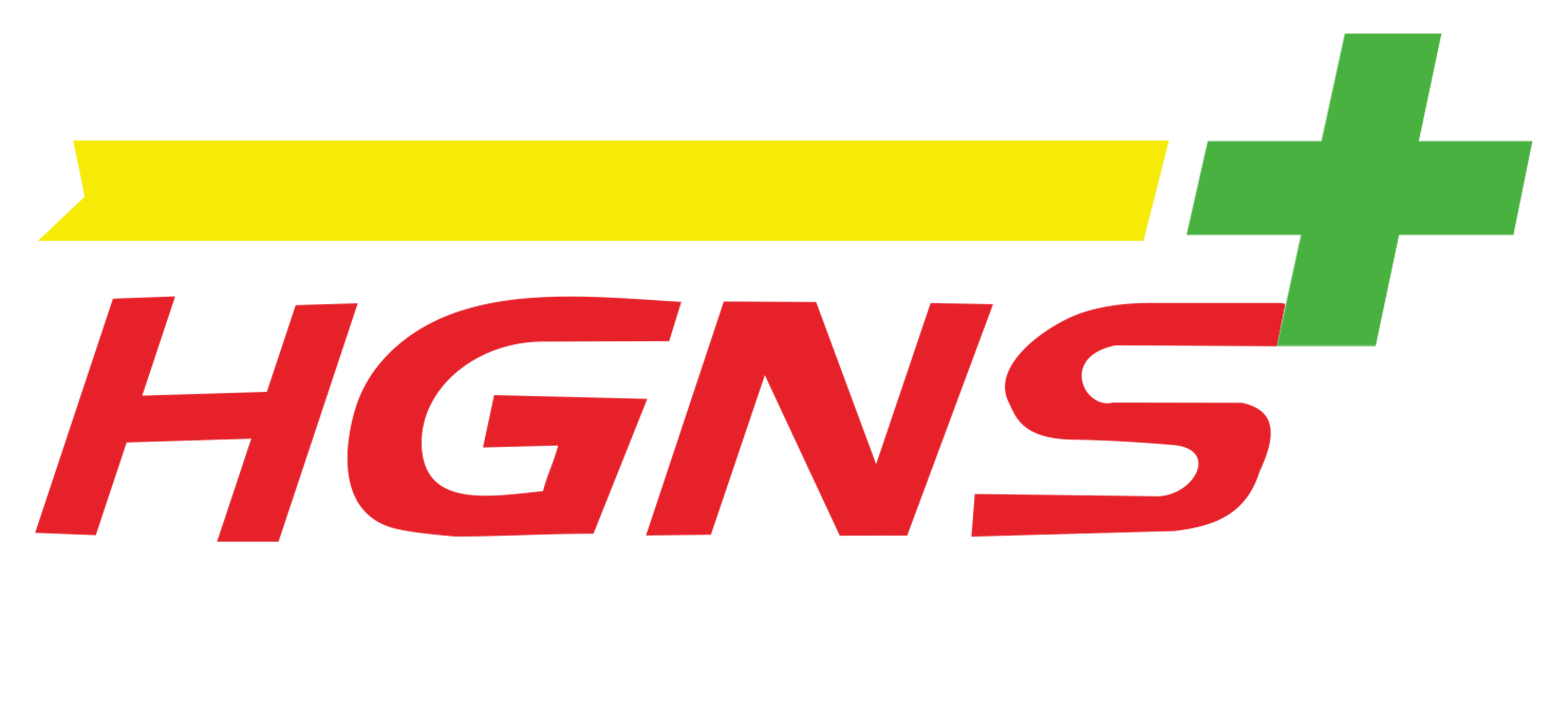 HGNS Higienis