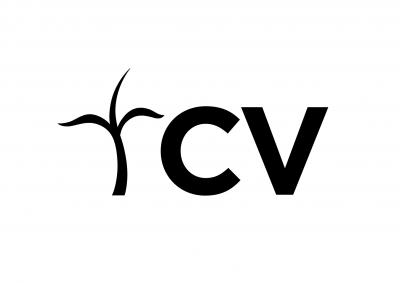 CVC NETWORK LTD