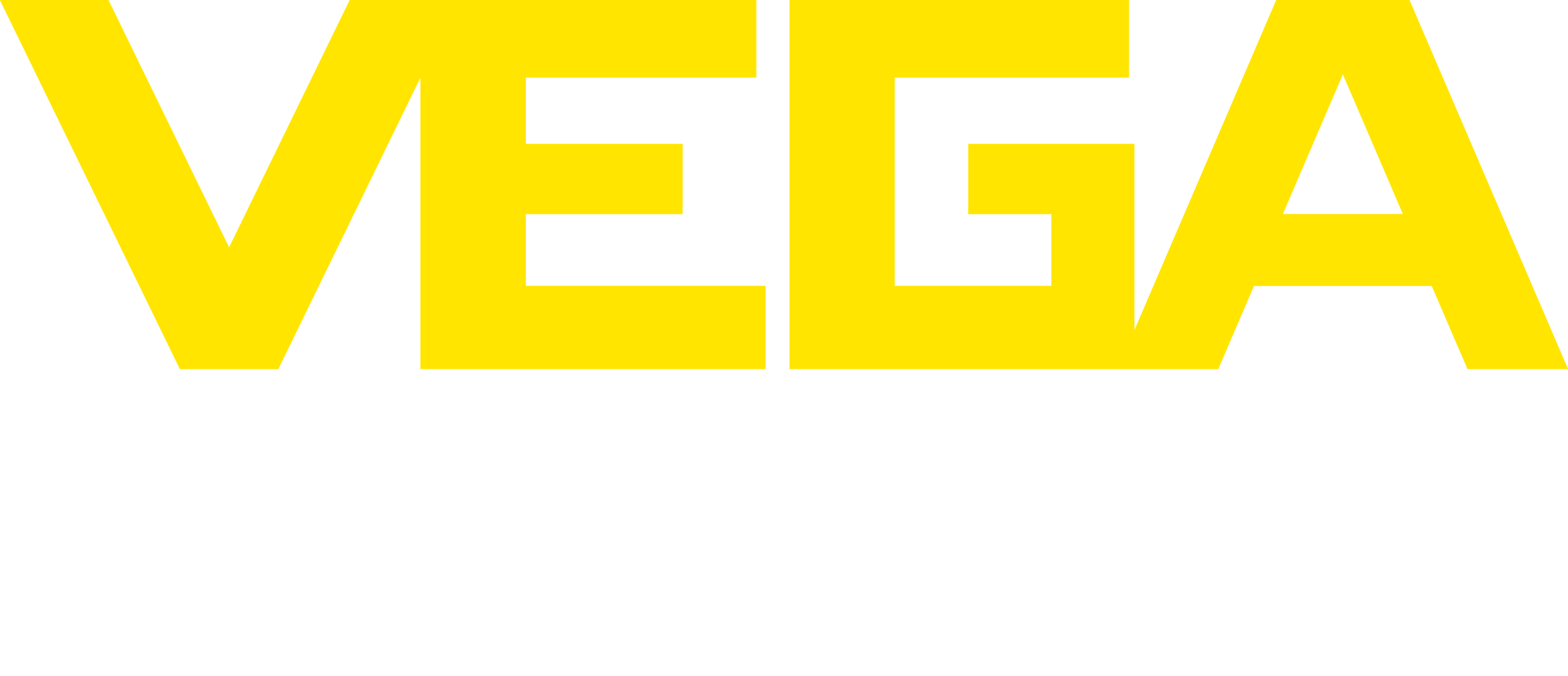 PT VEGA Instruments Indonesia