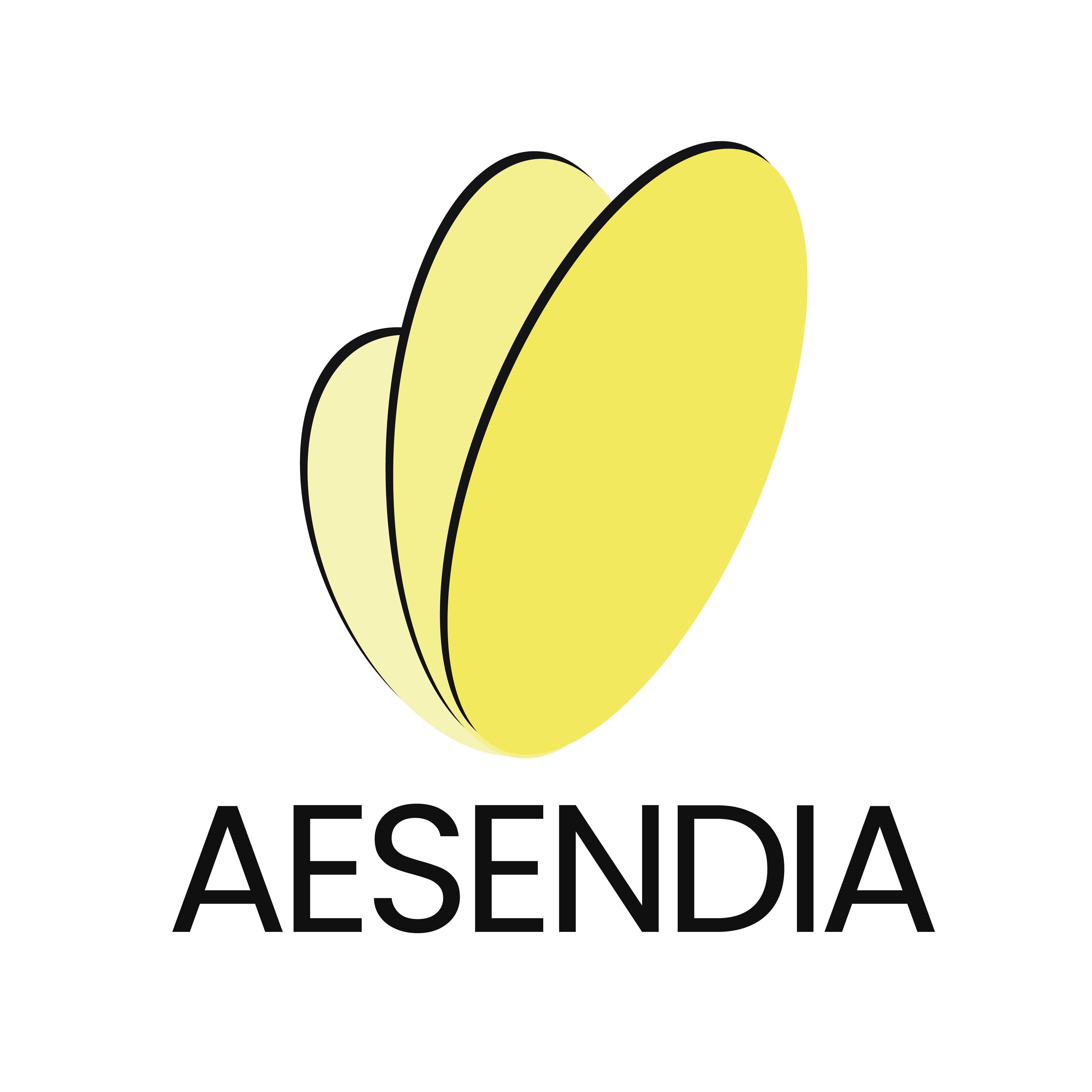 PT Aesendia Infini Indonesia