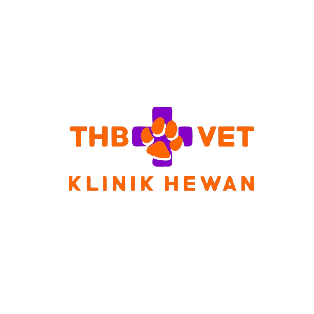 THB VET CLINIC