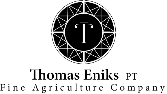 PT. Thomas Eniks Internasional