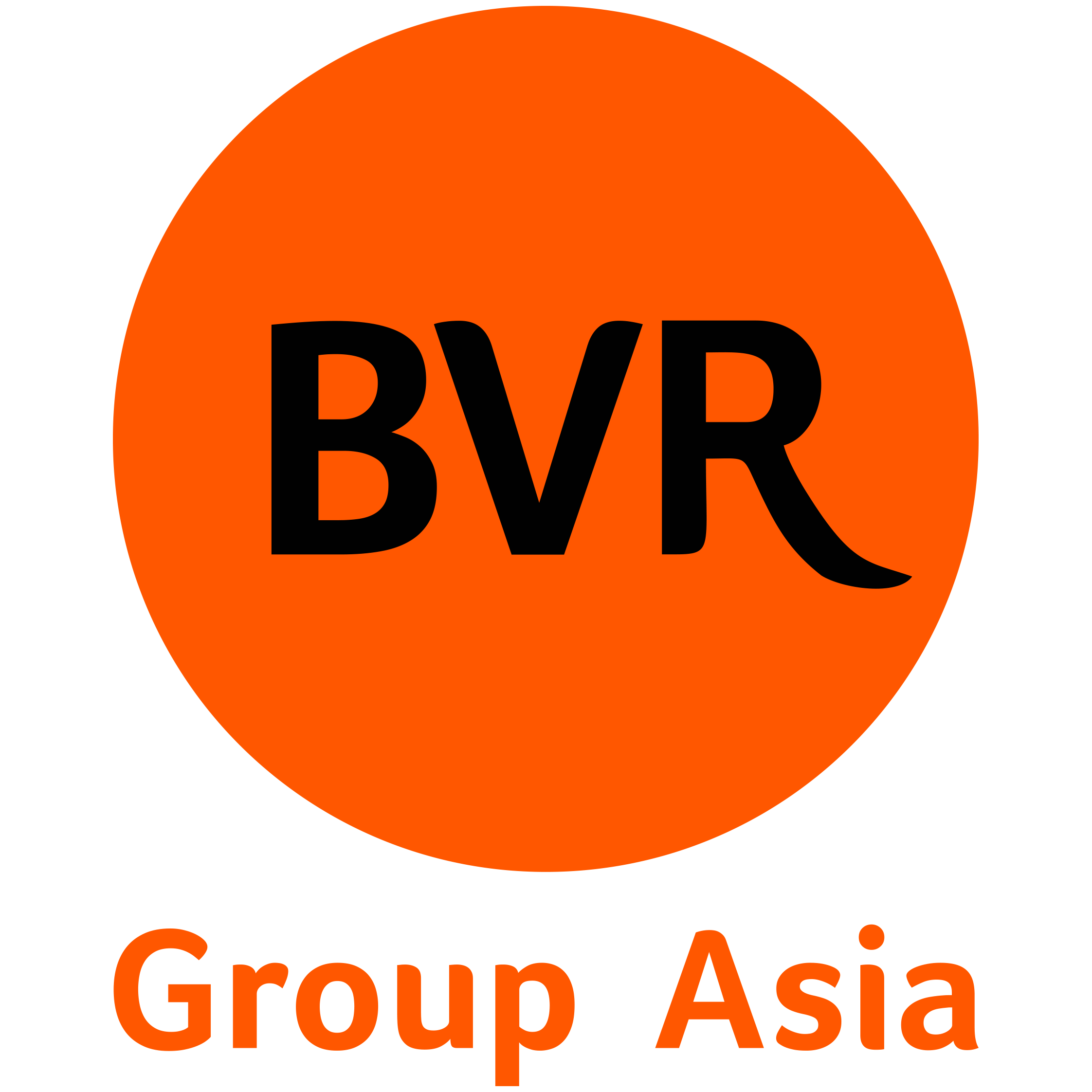 BVR Group Asia
