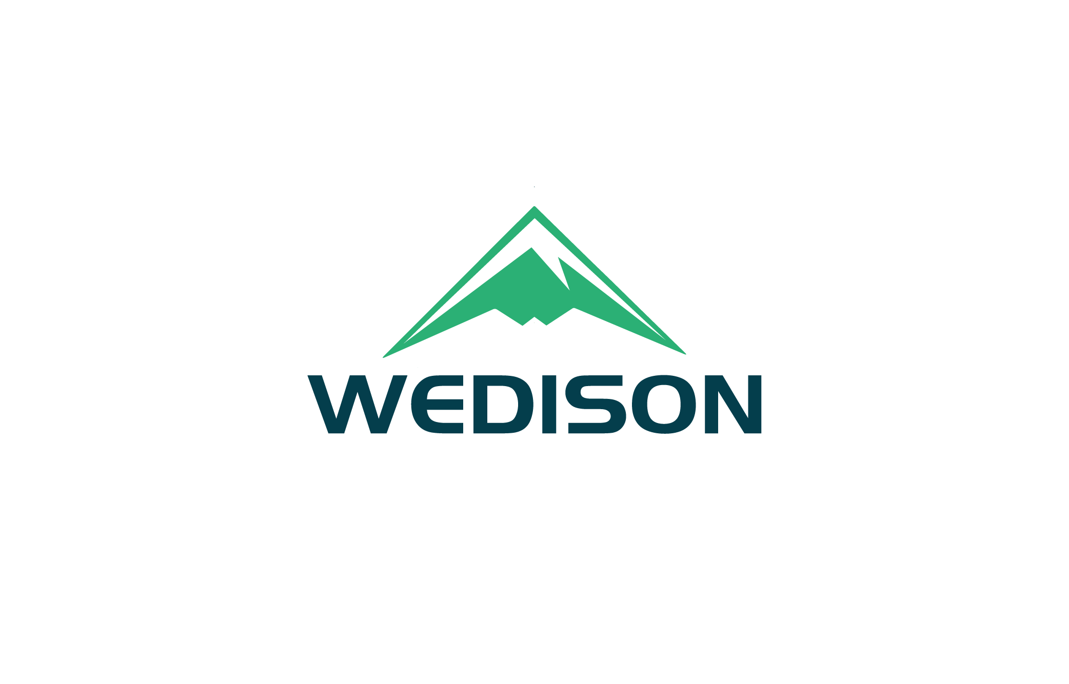 PT. Wedison New Energy Technology