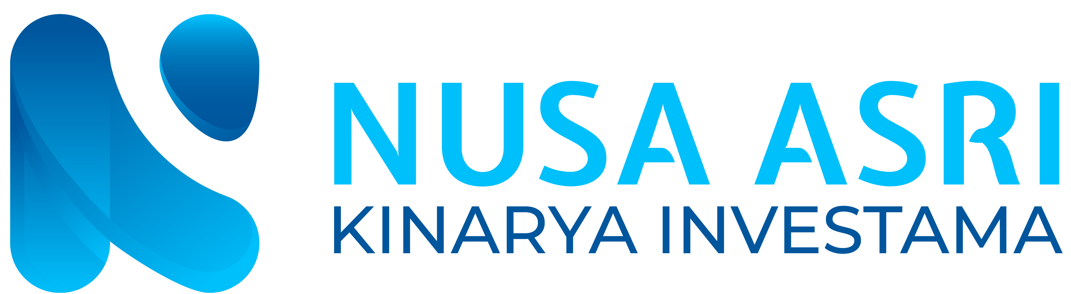 PT NUSA ASRI KINARYA INVESTAMA