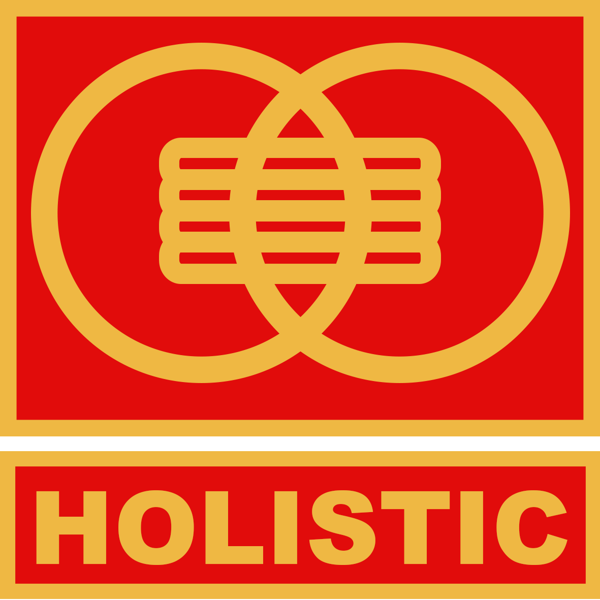 PT. Holistic Indonesia