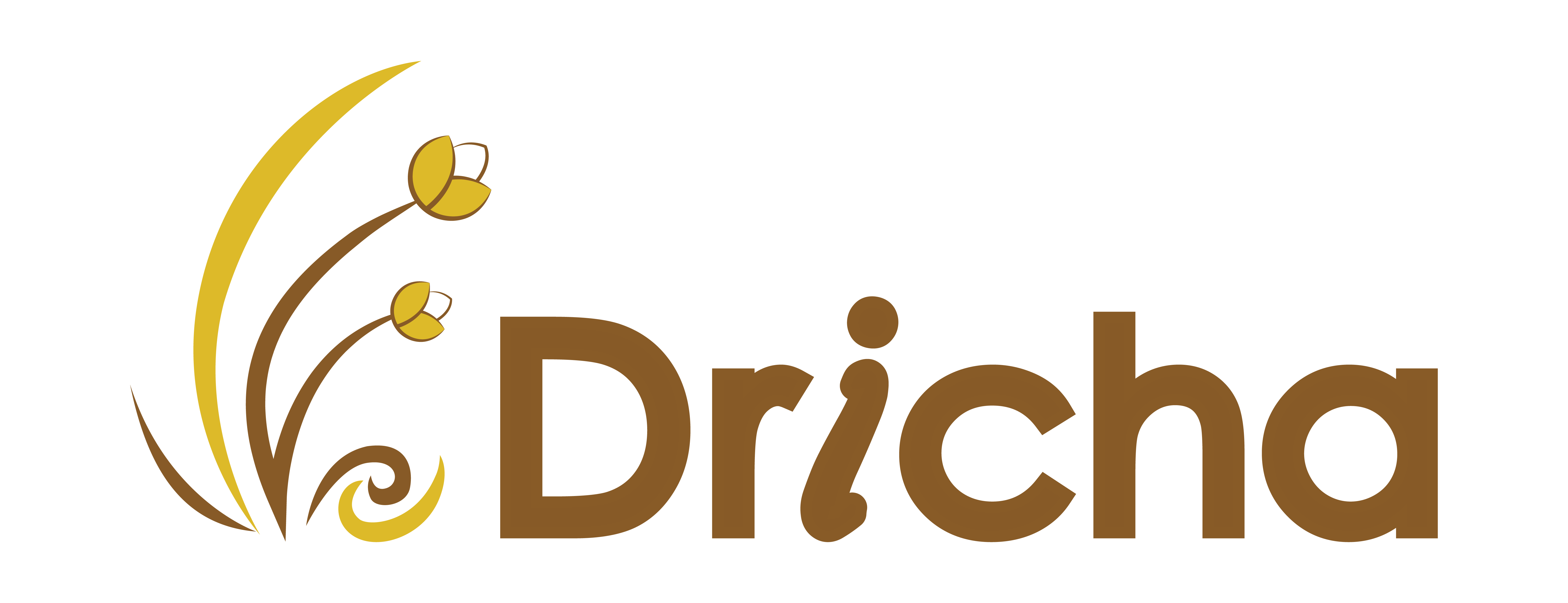 PT. Dricha Dermal Indonesia