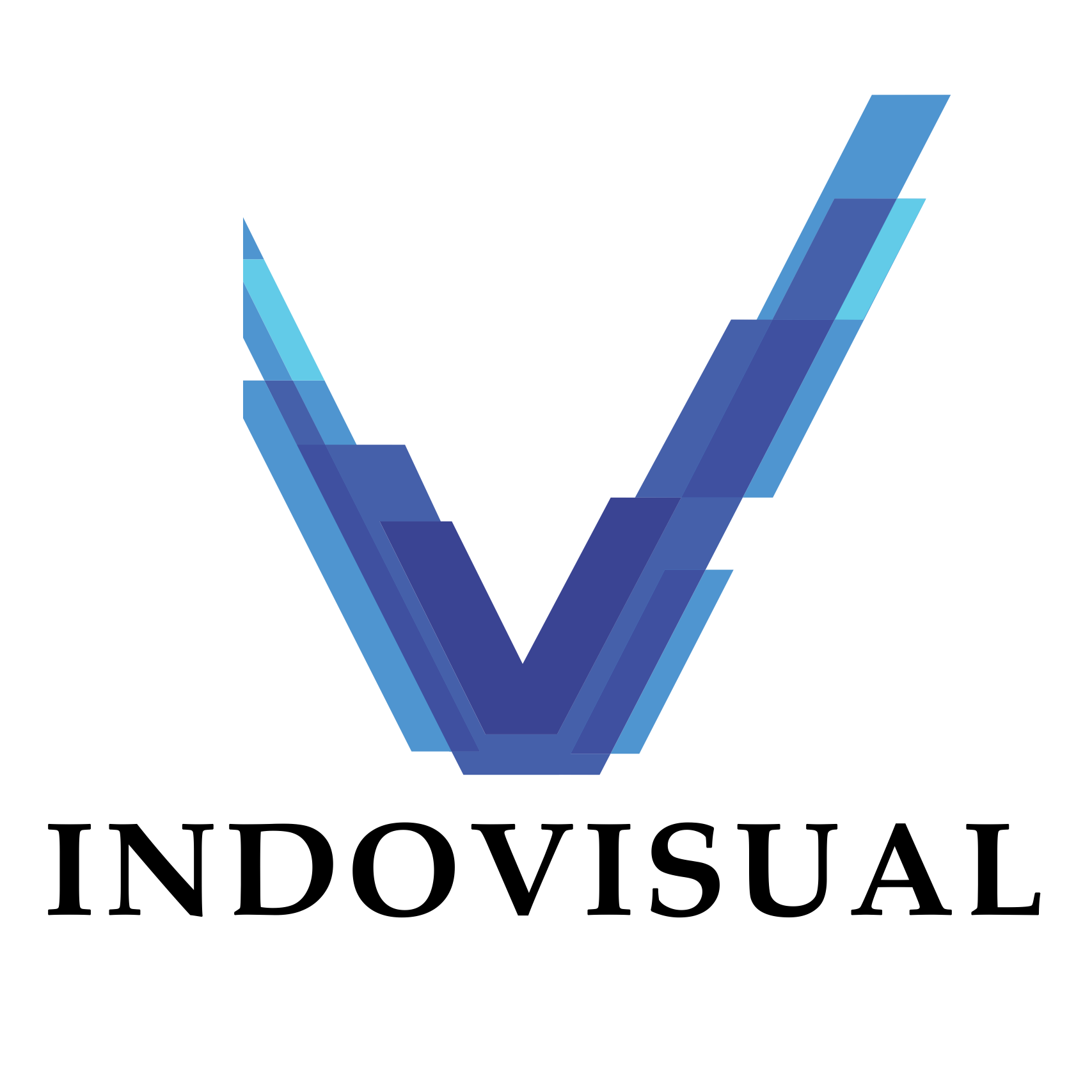 PT Indovisual Investama