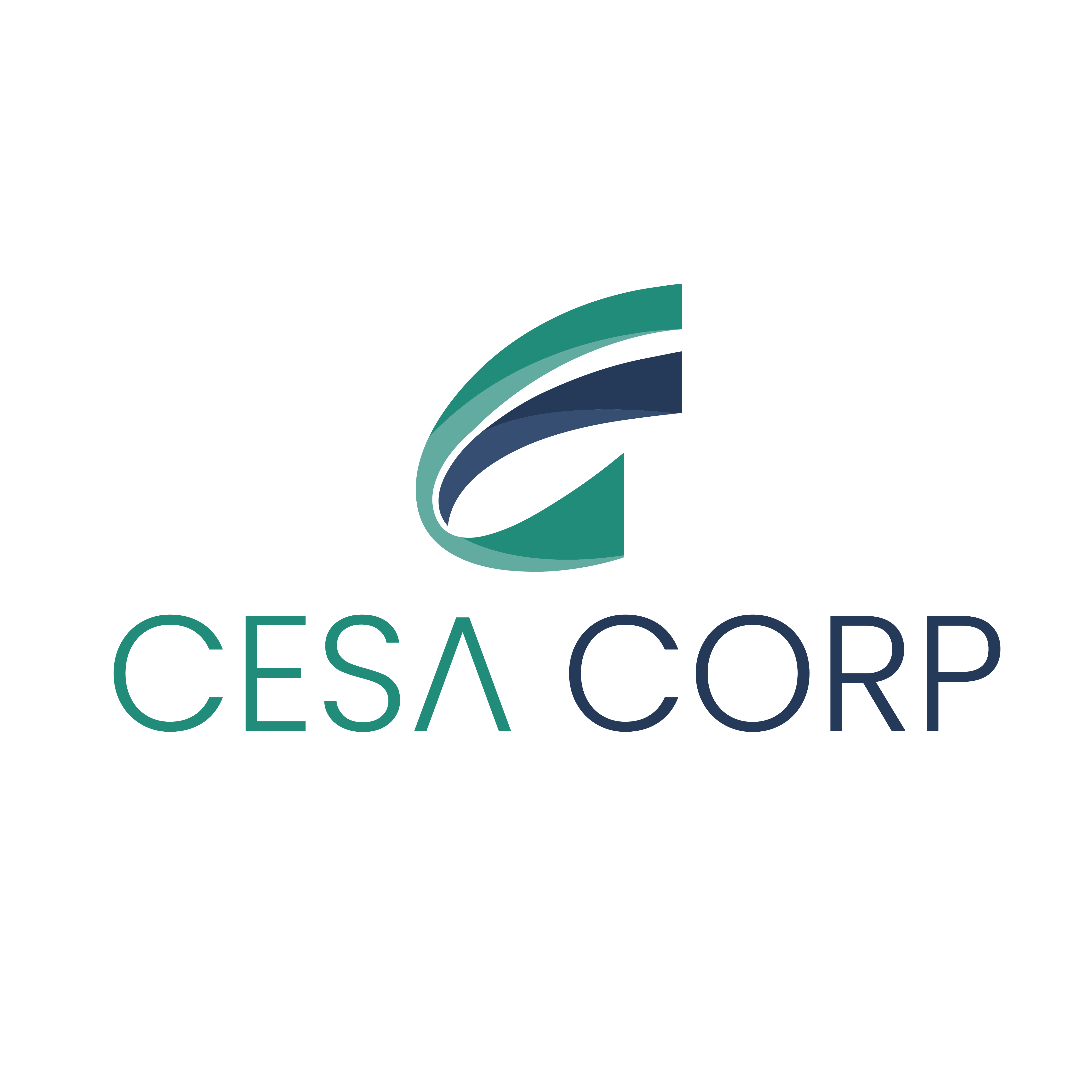PT Cesa Rasa Nusantara