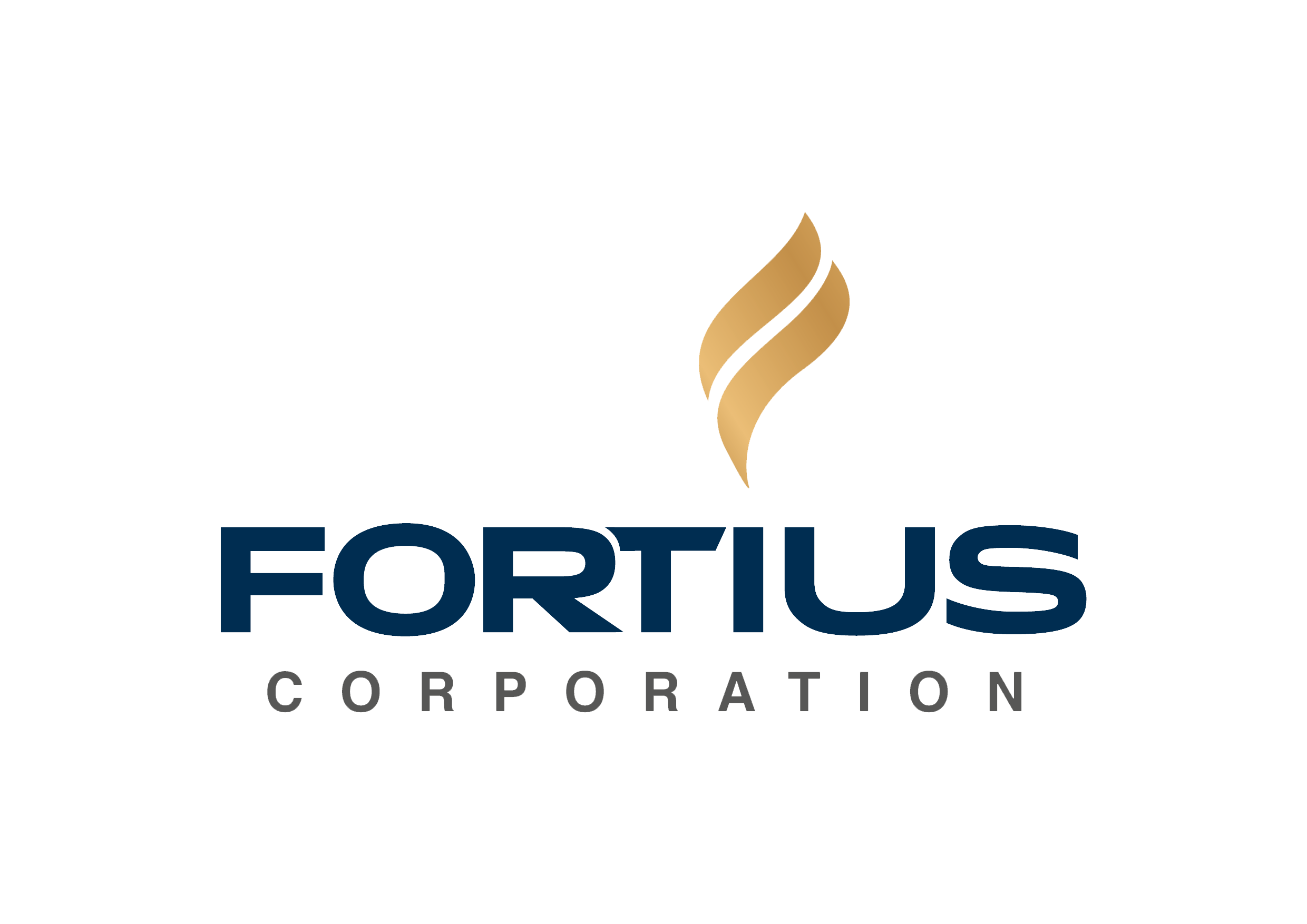PT FORTIUS  INVESTMENT  ASIA
