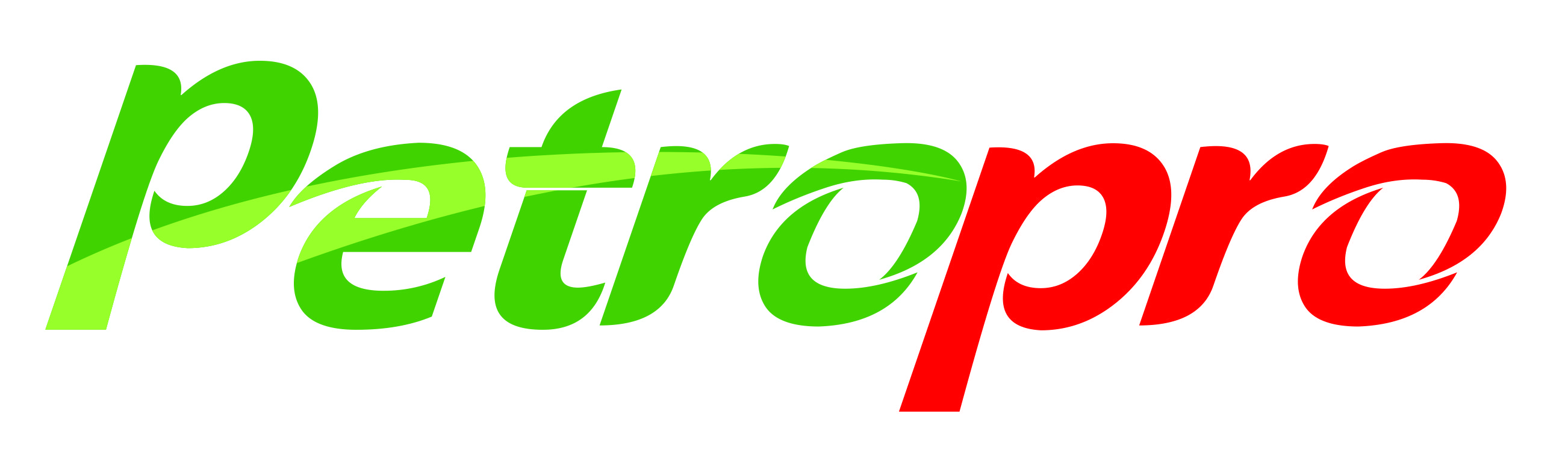 PT PetroPro